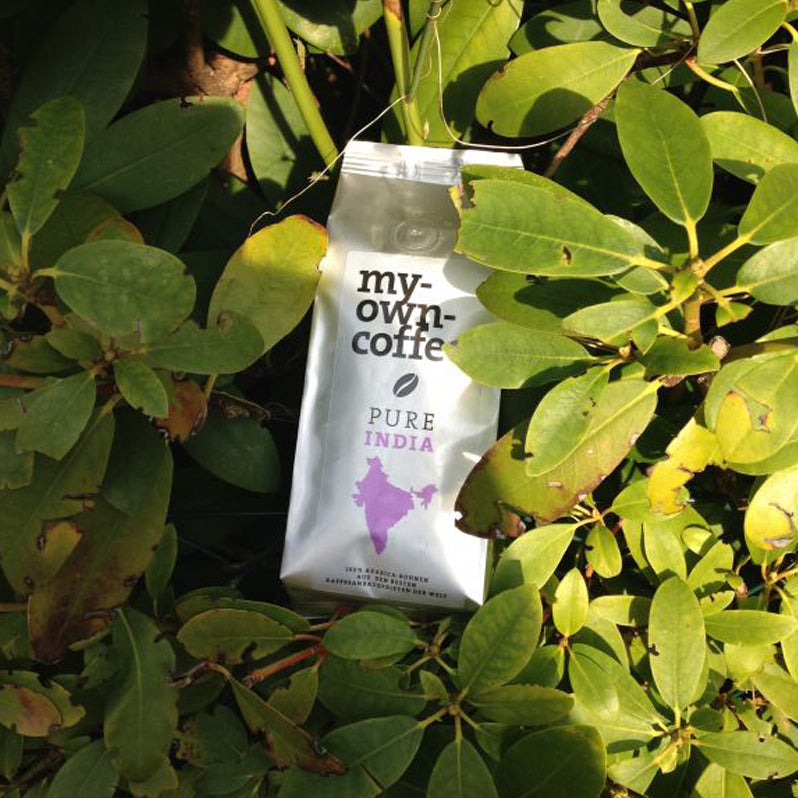 PURE India monsooned Malabar